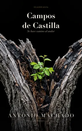 Portada de Campos de Castilla